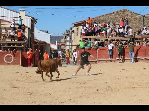 Divertido encierro en Mieza para enfilar el final de las fiestas