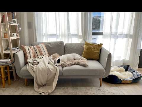 My simple winter days in Oslo, Norway