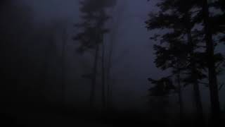 r/LetsNotMeet | The Moonlight Motel | Horror