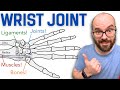 Anatomy Of The Wrist Radiocarpal Joint Bones Ligaments And Muscles