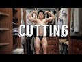 Vida de Bodybuilder - Diário #132 - Começando Um Cutting