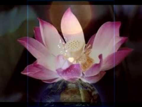 Om AmmaBhagavan - Oneness Meditation Chant - Theo Hirschi