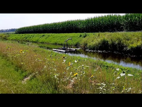 Biodiversiteit akkerbouw te versterken door combineren akkerranden-, talud- en slootkantenbeheer?