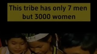 Download lagu tribe with 7men 3000 women #amazon #tribe #rainforest #amazontribewomen mp3
