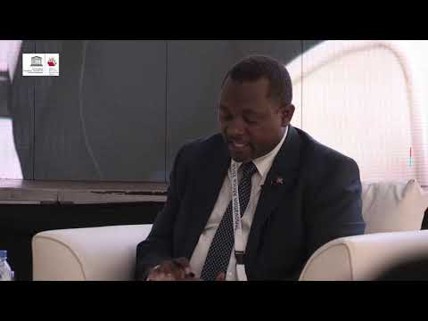 Innovation Africa 2018 - Panel Discussion on Key Findings of the GEM Report
