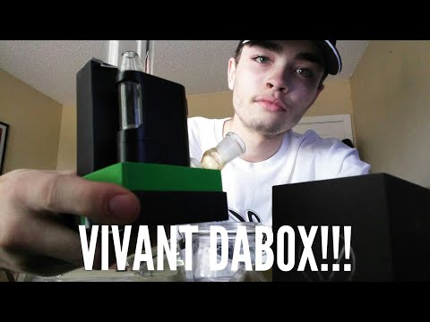 VIVANT DAbOX!!