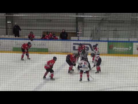 HC Panter 01/02 - HC Panter 03/04  4-2 (1-0; 3-2; 0-0)  05.01.2017