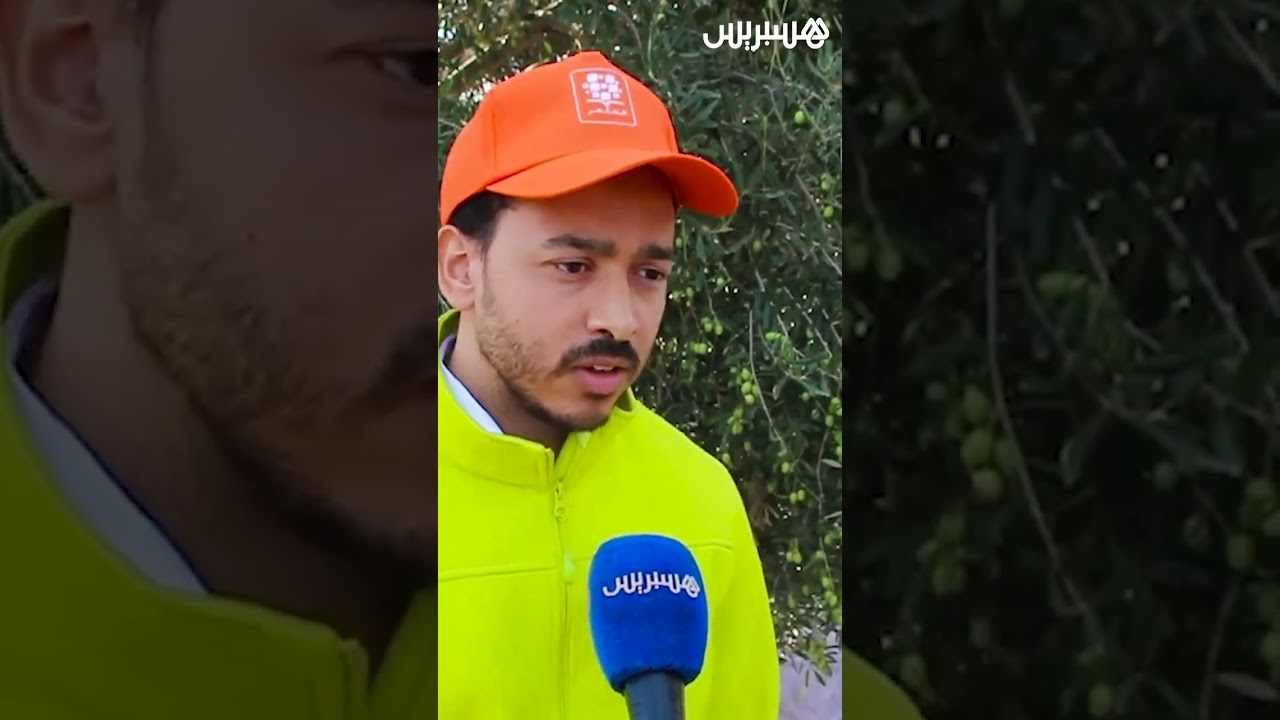 في إطار مبادرات المثمر    إطلاق منصة تطبيقية خاصة بزراعة الزيتون في سيدي داود بإقليم مولاي يعقوب thumbnail