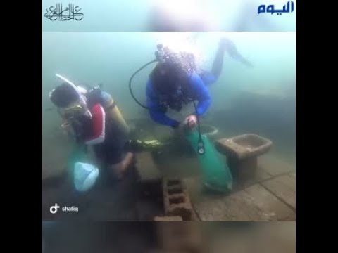 130 غواص يشاركون في تنظيف أعماق شواطئ الشرقية 