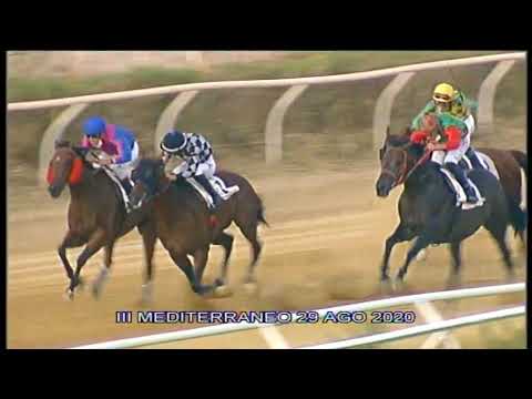 Galoppo corse del 29 Agosto 2020