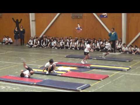 Revista de Gimnasia 2° Básico B