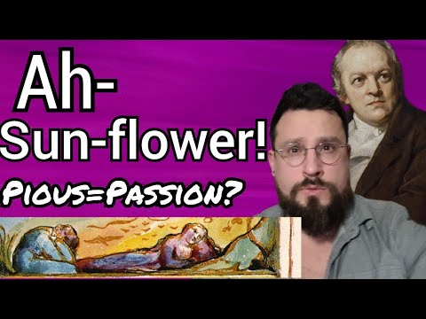 Ah- Sun-flower! William Blake Summary, Interpretation, Analysis, Review