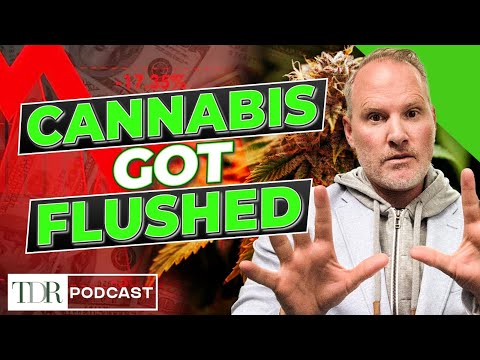 What Really Happened Thursday in Cannabis | TDR Cannabis in 5