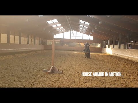 Horse armor in motion