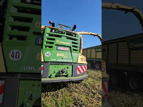 Krone Big X 1180 harvester 👑❇️