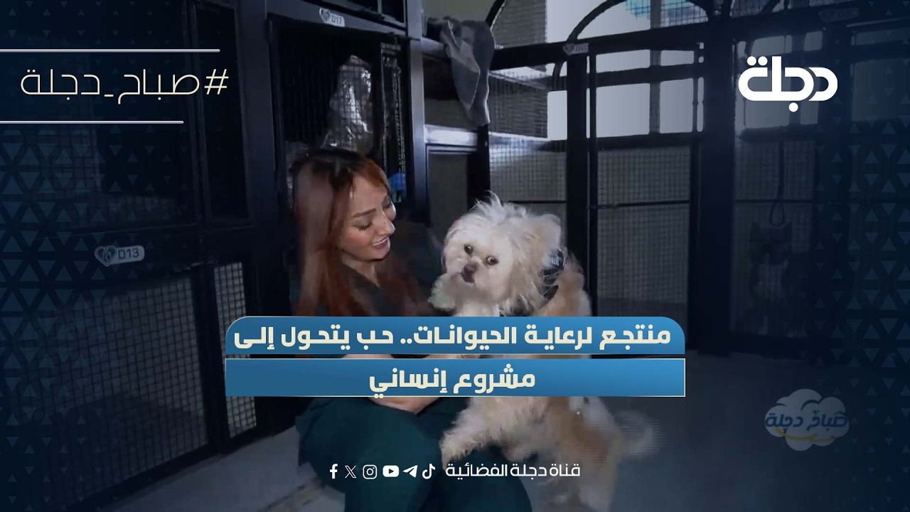 فيديو | منتجع لرعاية الحيوانات.. حب يتحول إلى مشروع إنساني
