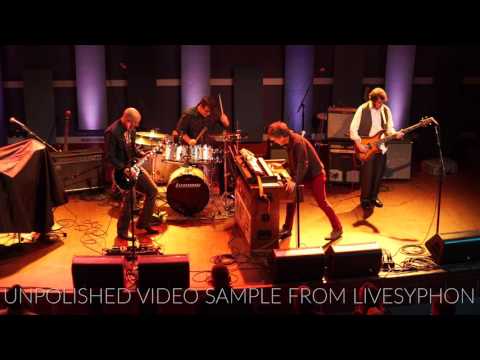 The GTVs   World Cafe Live   Sample