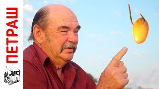 Ссылка