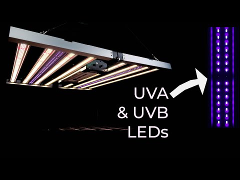 Mammoth 8 bar 800W LED Grow Light e barras LED 100W UVA e UVB