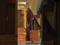 The Great Indian Murder Scene Vicky Rai Hotstar Shorts Funny Trending Who Killed Vicky Rai
