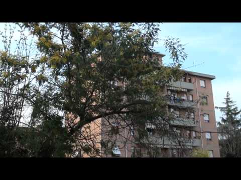 FORNACI CASE SBLOCCATE