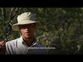 This Is Bushwise