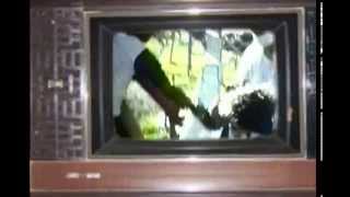 The Holstered - Vampire