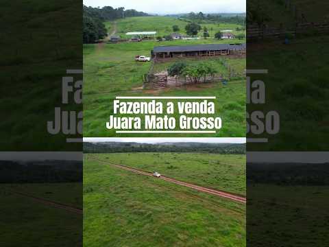 Fazenda à Venda em Juara Mato Grosso/#fazenda #venda #juara #matogrosso #cezaragrofazendas