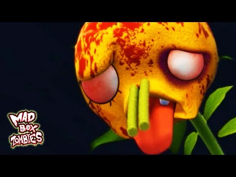 Zombies animados:Mince Violenta - Mad Box Zombies | EP 155