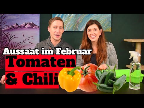 , title : 'Aussaat & Anzucht im Februar: Tomaten, Chili & Paprika in der Wohnung & auf dem Balkon anbauen'