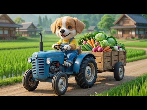 Un cachorro convirtió el trabajo duro en amor 💛🐶 Lo que un cachorro hizo por su abuela te derreti...