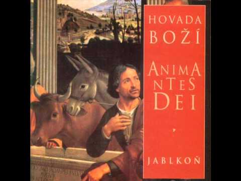 Jablkoň - Hovada boží - Sedm týdnů