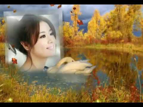 Nplooj siab tus kuv nco