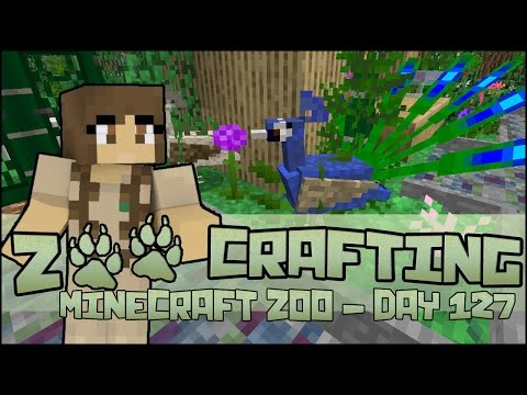 Peafowl Paychecks!! 🐘 Zoo Crafting: Season 2 - Episode #127