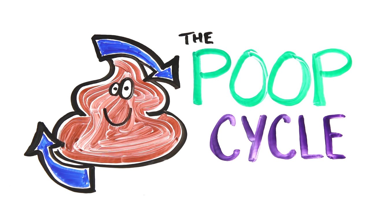 The Poop Cycle