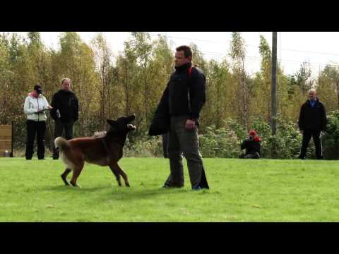 Skydd MBK 20140927 Elitklass