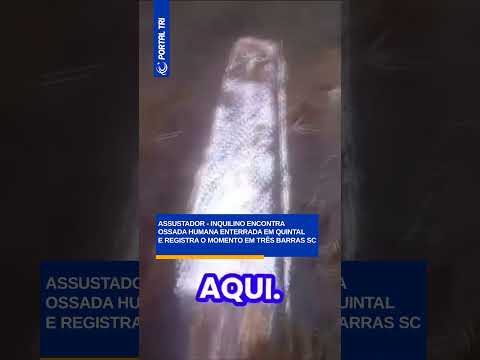 Shorts | Morador de Três Barras-SC encontra caixão enterrado no quintal