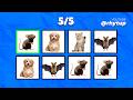 Say The Word On Beat Rhythm Timing Challenge LEVEL 1 3 Easy Medium Hard