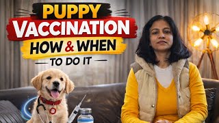 Puppy Vaccination Guide: How & When to Vaccinate Your Puppy🐶