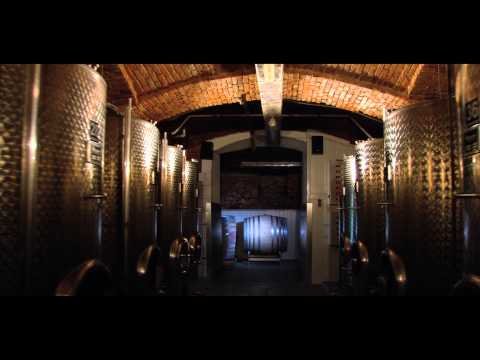 Terroir erleben - Weingut Dreisiebner Stammhaus, Südsteiermark