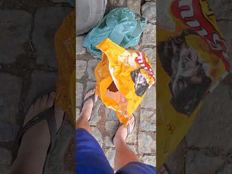 Careaçu Minas gerais Hora do almoço temos companhia