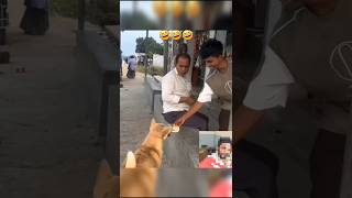 respect all video very funny 🤣 part 58