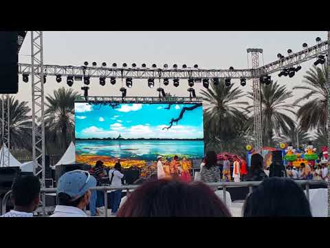 Dubai videos hd Sri Lankan day 2018  (9)