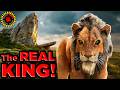 Film Theory: Why Scar is the RIGHTFUL King! (Disney Lion King) Film Theory: Why Scar is the RIGHTFUL King! (Disney Lion King)