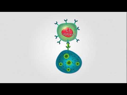 Inmunidad adaptativa