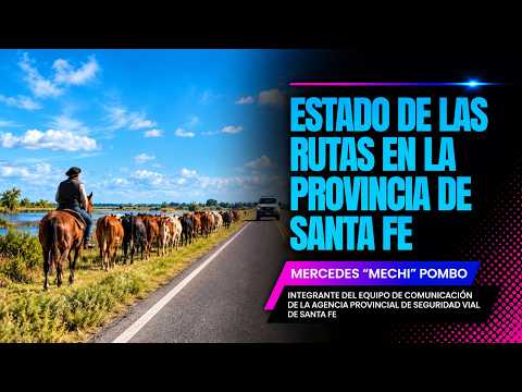 ¿Cómo están las rutas en Santa Fe hoy? Informe de la Agencia de Seguridad Vial | 15 - Oct 2026