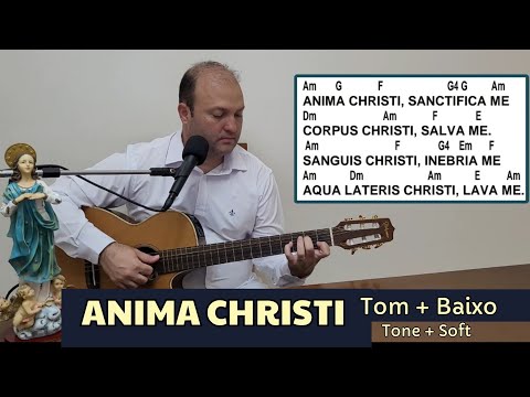 Amarelo - Anima