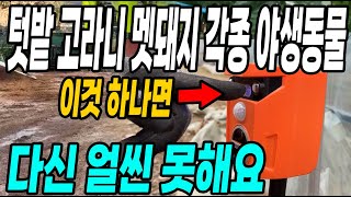 텃밭 고라니 멧돼지 각종야생동물 이것하나면 다신 얼씬못해요! 고라니 멧돼지 퇴치방법