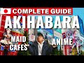 The TRUTH About Akihabara Ultimate First Timer S Complete Guide