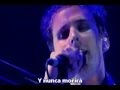 Muse - Sing for Absolution Subtitulado 